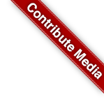 Contribute Media